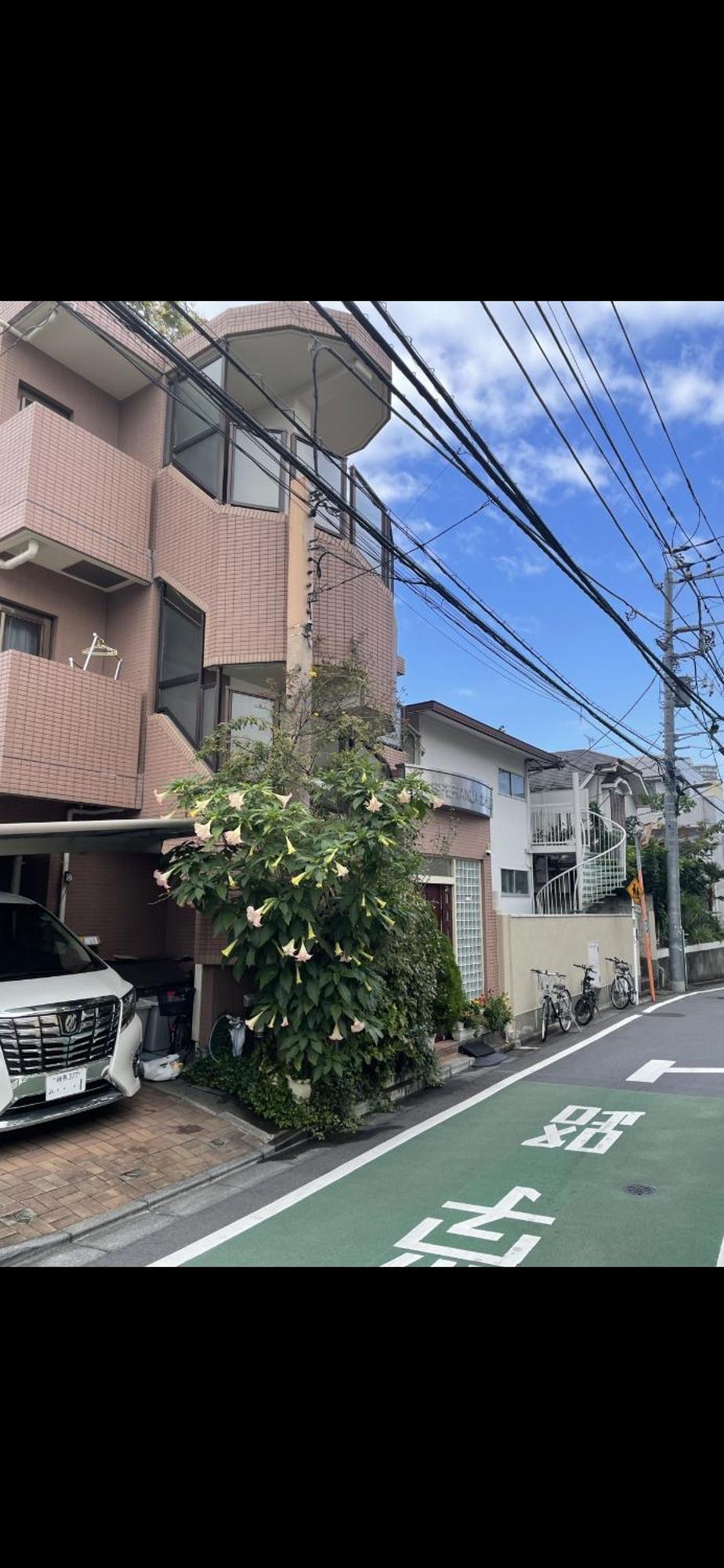 新宿安靜の家-A Quiet Home In Shinjuku - A 26 Square Meter Double Bed Room That Feels Like Home Tokio Buitenkant foto