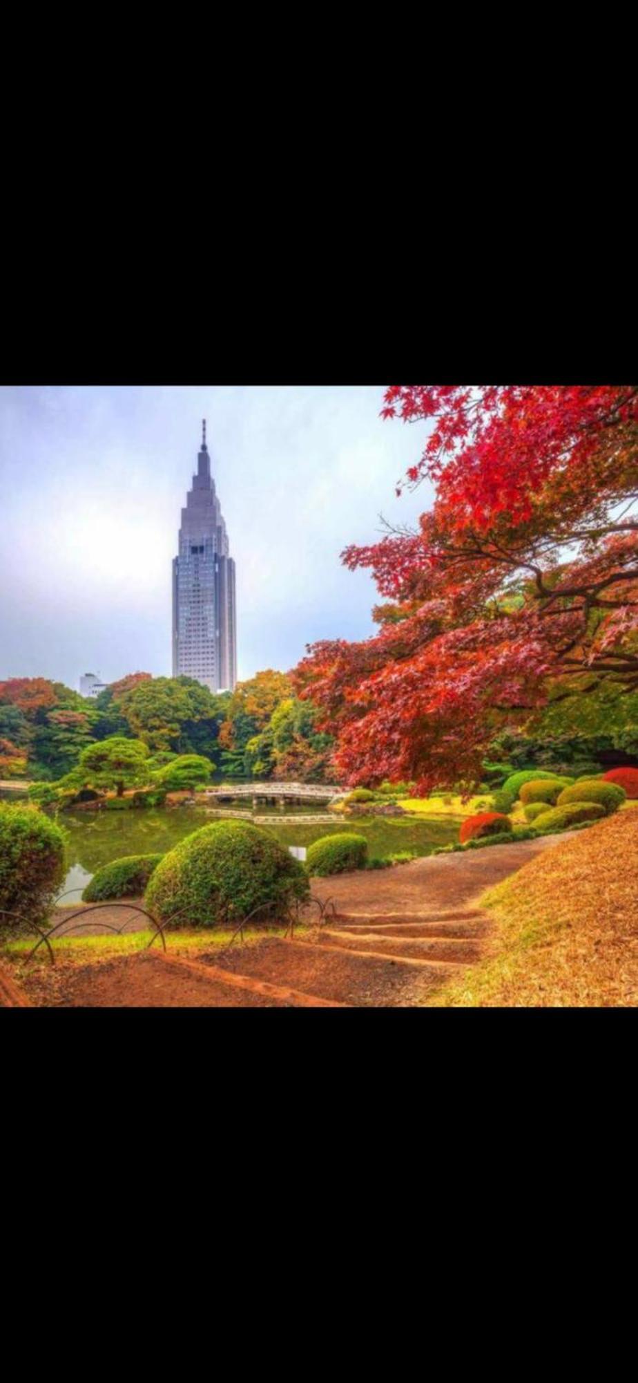新宿安靜の家-A Quiet Home In Shinjuku - A 26 Square Meter Double Bed Room That Feels Like Home Tokio Buitenkant foto