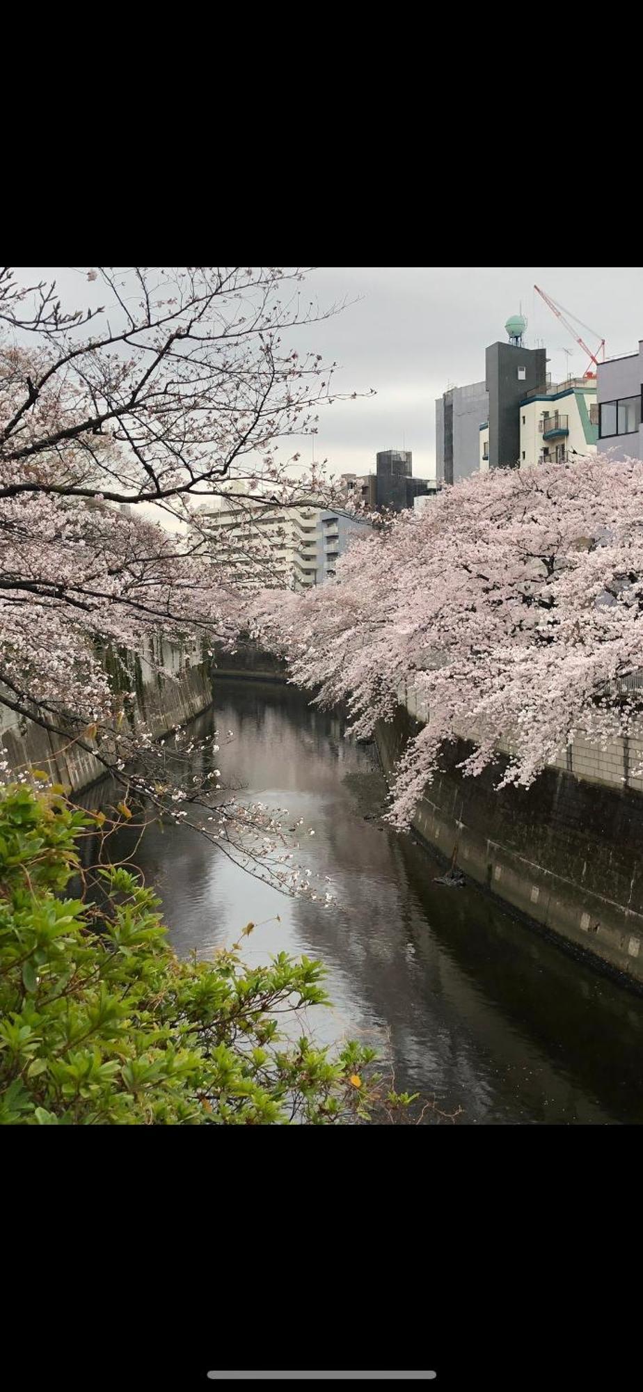 新宿安靜の家-A Quiet Home In Shinjuku - A 26 Square Meter Double Bed Room That Feels Like Home Tokio Buitenkant foto